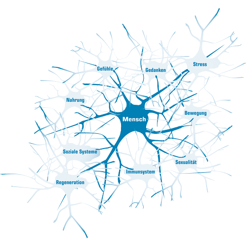 kPNI – klinische Psycho – Neuro – Immunologie